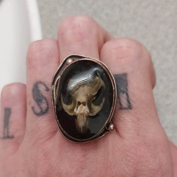 Handmade taxidermy ring - Picture 2 of 4